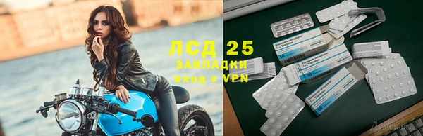 стафф Алзамай