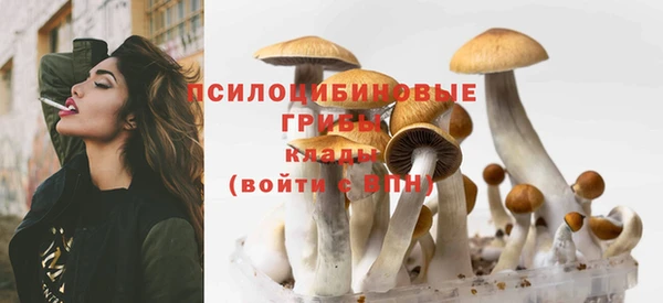 бошки Алексин
