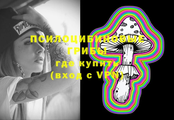 стафф Алзамай