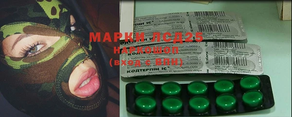 стафф Алзамай