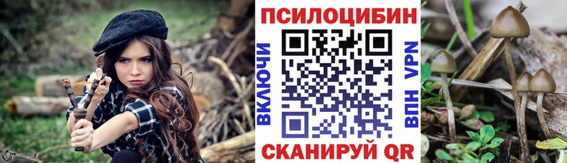 Галлюциногенные грибы Cubensis  нарко площадка наркотические препараты  Аргун  наркота 